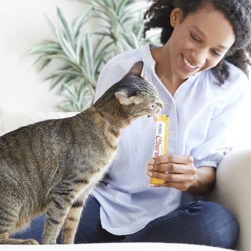 INABA Churu Cat Treats, Grain-Free, Lickable, Squeezable Creamy Purée Cat Treat/Topper with Vitamin E & Taurine, 0.5 Ounces Each Tube, 24 Tubes (4 per Pack), Chicken with Scallop Recipe