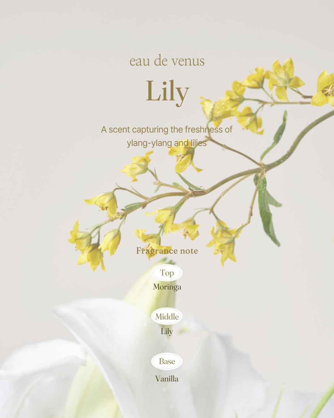 Foellie] eau de venus- Feminine Inner Beauty Perfume for Underwear Attractive Scents Fragrance, 5ml/0.169 fl.oz