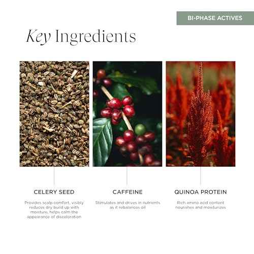 Soothe Sayer Bi-Phase Scalp Treatment ? Flake Control & Redness Relief, 99% Natural, 67% Organic, Vegan, Clean Beauty ? Nourishing Leave-In for Dry, Itchy, Irritated Scalps, 4 oz