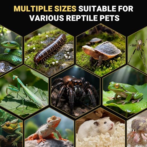 ZENWUKONG 3x3x6 Inch Jumping Spider Enclosure Acrylic Terrarium Habitat with Magnetic Doors