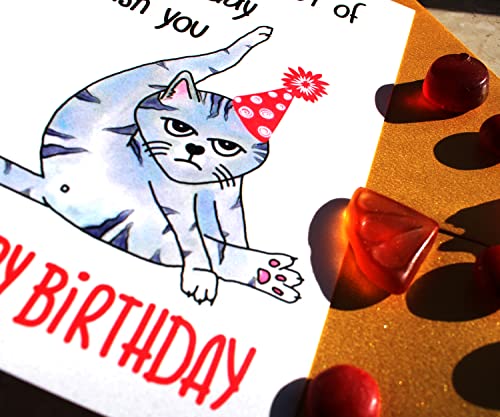 Taking Time out of My Busy Day to Wish You a Happy Birthday Handmade Card, Funny Bday Gift for Cat Mom, Cat Dad or Cat Lover