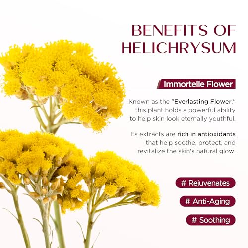 Vigority Helichrysum Balm: Restorative Cream with Arnica & Calendula - Moisturizes & Revitalizes Face & Body (2-Pack(6.8 oz - Original))