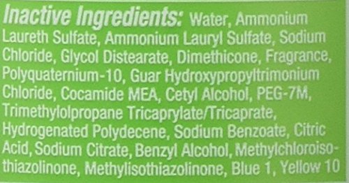Pert Anti-Dandruff 2-in-1 Shampoo & Conditioner 13.5 oz, Pack of 2