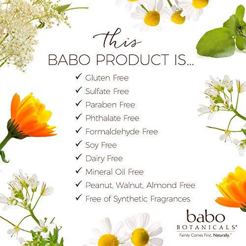 Babo Botanicals Aloe Vera Gel After Sun Soother, 8 oz