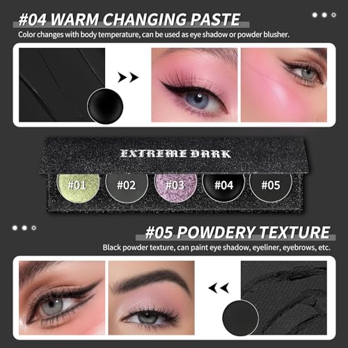 Black Eyeshadow Palette 5 Colors Shimmer Matte Metallic