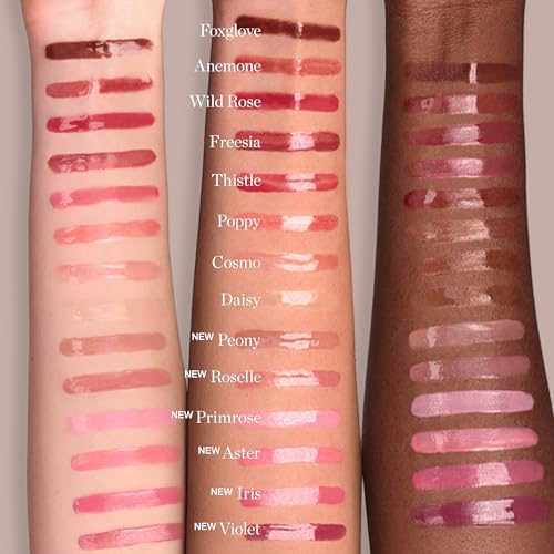 Ogee Beyond Clean Plumping Lip Gloss - Anemone Rusty Pink