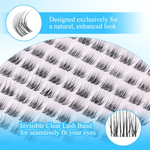 8mm Short Lash Clusters C-Curl Wispy Reusable (168pcs)