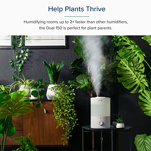 LEVOIT Humidifiers for Bedroom with Night Light(3L Water Tank)Cool Mist Top Fill Essential Oil Diffuser for Baby Nursery and Plants, 360° Nozzle, Quiet, Rapid Humidification for Home Large Room, White