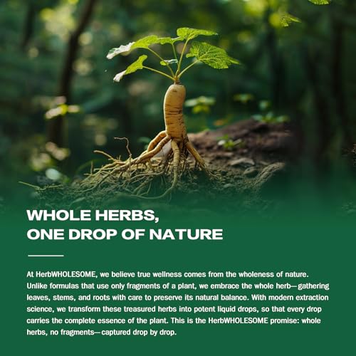 HerbWHOLESOME Cleavers Herbal Extract Drops for Immune Support - 2oz