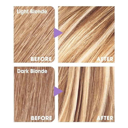 L'Oreal Frost & Design Highlights H85 Champagne Kit (2-Pack)