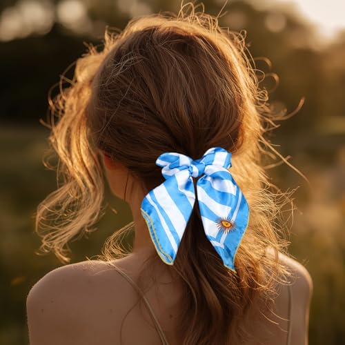 Argentina Flag Women 4-Piece Hair Accessory Set - Patriotic Hair Clips & Headbands