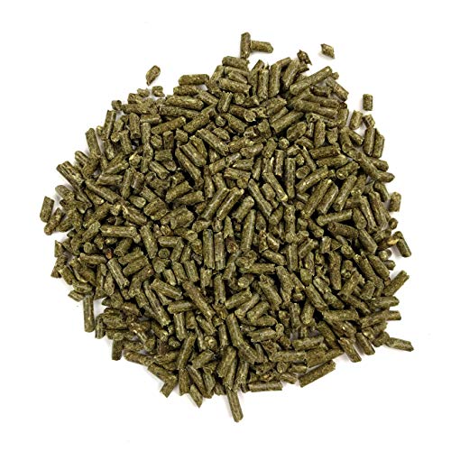 Oxbow Essentials Adult Rabbit Food - All Natural Adult Rabbit Pellets - Veterinarian Recommended- No Seeds, Fruits, or Artificial Ingredients- All Natural Vitamins & Minerals- Made in the USA- 10 lb.