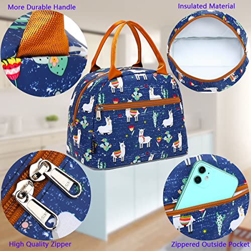 FlowFly Lunch Bag Tote Bag Lunch Organizer Lunch Holder Insulated Lunch Cooler Bag for Women/Men,Owl