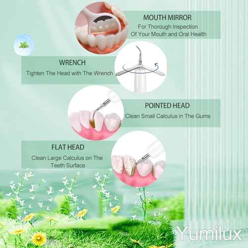 Professional Plaque Remover for Teeth, Teeth Cleaner Tool with Intelligent and Secure Sensor Technology, 4 Replaceable Heads 5 Modes, OLED Light & Oral Mirror, Rechargeable Teeth Cleaning Kit For Home