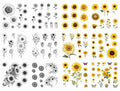Sunflower Temporary Tattoos - 98 Designs for Women & Kids