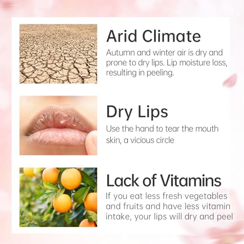 CATKIN Ultra Hydrating Natural Plant Extract Lip Balm for Dry Lips Moisturizing Chapstick Lip Treatment Repair Nourish Lip Skin Care (C01 Colorless)