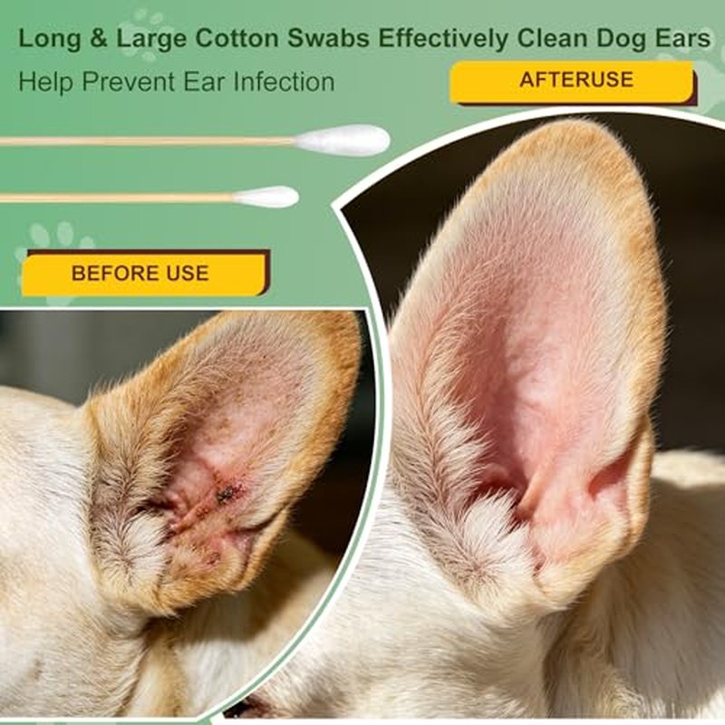 Eyxformula 400 Pcs Long Cotton Swabs for Dogs - 6 Inch Pet Ear Cleaning