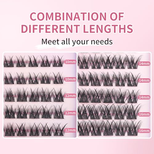 Lash Clusters 100PCS D Curl Wispy Natural Reusable Eyelash Extensions 10-16mm