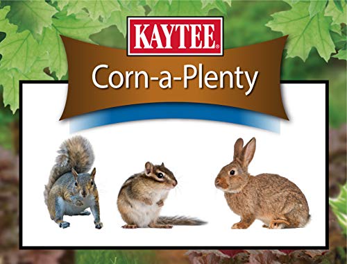 Kaytee Corn A Plenty Treat Seed Cake Food for Wild Squirrels, Chipmunks, Rabbits & Other Backyeard Wildlife, 2.5 Pounds