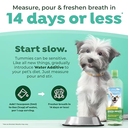 TropiClean Fresh Breath Original | Dog Oral Care Water Additive | Dog Breath Freshener Additive for Dental Health | VOHC Certified | Made in the USA | 33.8 oz. | Pack of 3