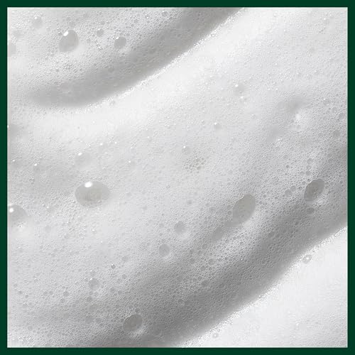 Aveda Nutriplenish Styling Treatment Foam | Soft Hold Styling Foam for Medium to Thick Dry Hair | Hydrates and Nourishes | 94% Naturally Derived*, 6.7 Fl Oz