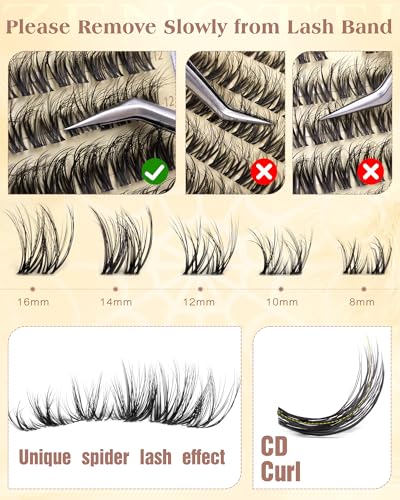 Zenotti D-D Curl Wispy Spider Lash Clusters 8-16mm Natural Breeze Lashes