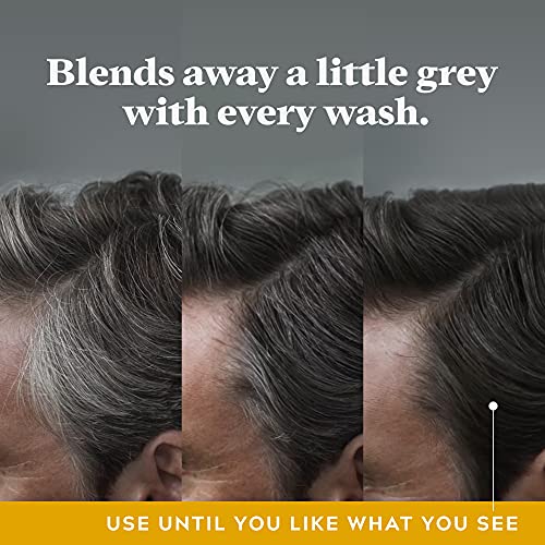 Just for Men Control GX Grey Reducing Shampoo & Beard Wash
