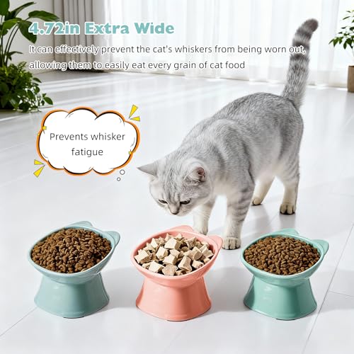 KSIA Elevated Cat Bowls 2 Pack, 15° Tilted Whisker Friendly