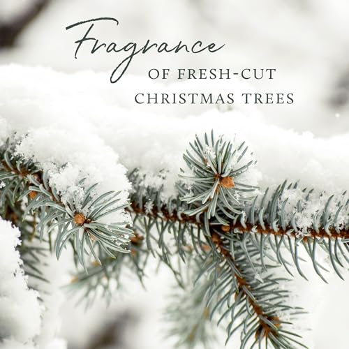 Thymes Frasier Fir Hand Cream, Travel Tin Candle Jar and Bar Soap Gift Set - Scented with Notes of Siberian Fir, Cedarwood, and Sandalwood - Luxury Home Fragrance Set - Hostess Gift for the Holidays
