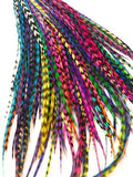 200 Short Real Rooster Feathers Rainbow Hair Extensions