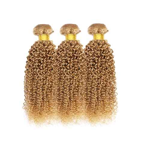 Blonde Bundles Color 27 Human Hair Honey Blonde Kinky Curly Human Hair Weave No Tangle Hair Extensions For Women Brazilian Unprocessed Virgin Hair 8 10 12 Inch