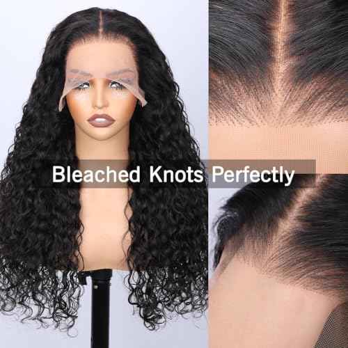 Water Wave Lace Front Wigs Human Hair 220 Density 13x6 HD Transparent Lace Frontal Wigs Human Hair Pre Plucked with Baby Hair 22 Inch Curly Lace Front Wigs for Women