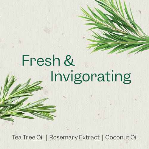 Renpure Tea Tree & Rosemary Scalp Serum, Plant-Based - Refreshing & Rebalancing - For Moisturized, Soft Hair - For Oily/Normal Hair- Tea Tree Leaf Oil, Rosemary Leaf Extract - 4 Fl Oz