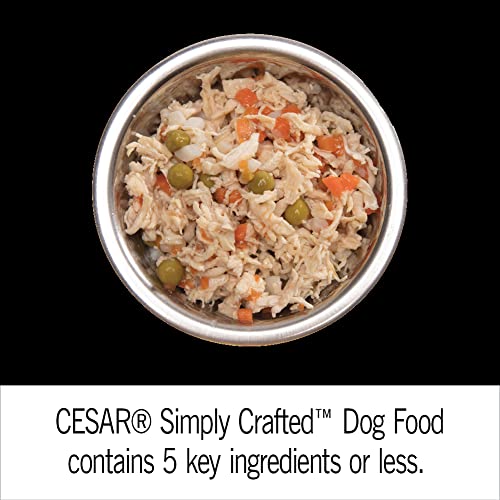 CESAR SIMPLY CRAFTED Adult Soft Wet Dog Food Cuisine Complement Variety Pack, (24) 1.3 oz Tubs