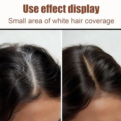 Hair Color Stick with Comb | Waterproof Gray Coverage