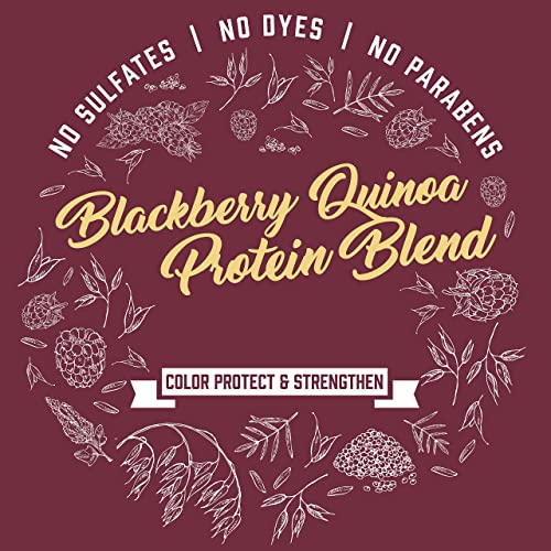 Aveeno Color Protect & Strengthen+ Blackberry & Quinoa Conditioner (12 Fl Oz)