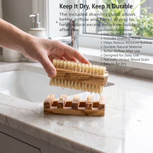Olive Wood Hand Nail Brush Set - Double-Sided Sisal Bristles