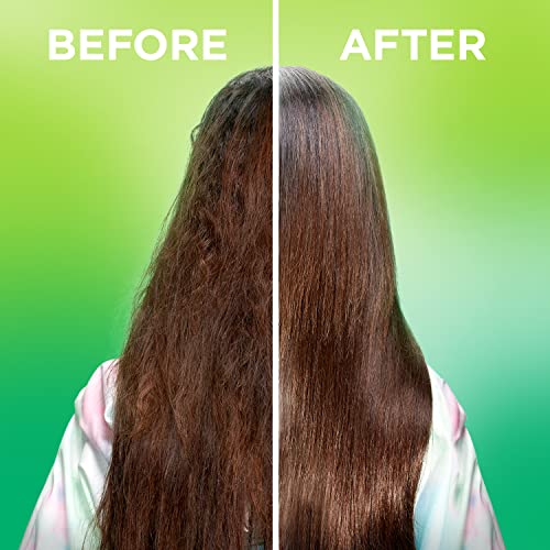 Garnier Fructis Sleek & Shine Moroccan Argan Oil - Frizz Control, 3.75 Fl Oz
