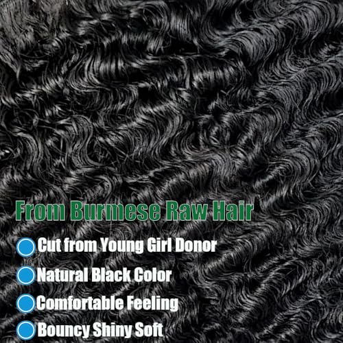 Burmese Curly Human Hair Bundles 16 18 20 Inch 100% Unprocessed