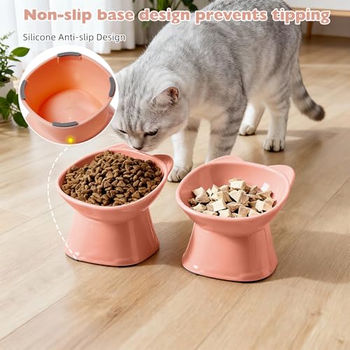 KSIA Elevated Cat Bowls 2 Pack, 15° Tilted Whisker Friendly