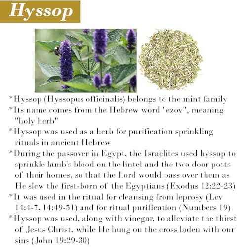 Cleanse Me With Hyssop Natural Hair and Body Wash, Organic Hyssop Infused Shampoo and Body Wash for Nourishing and Refreshing Hair & Body Cleansing (Myrrh and Frankincense)