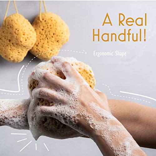 myHomeBody Bath Sponge, Foam Loofah, Body Scrubber for Bathing, Exfoliating Shower Pouf for Shower ? Large Size, Lots of Lather, Curvy, 2 Pack