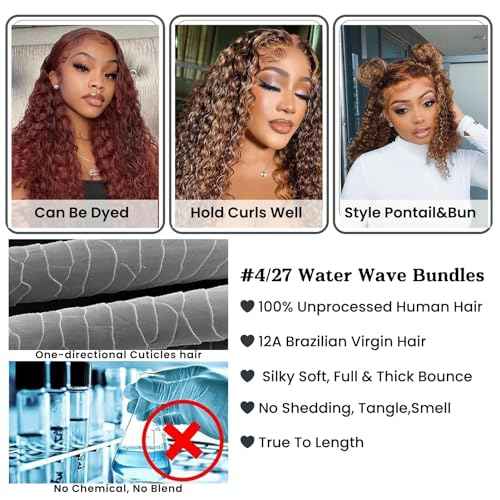 ALHER Long Deep Part 2x6 Closure Water Wave Honey Blonde Highlight, Ombre Brown and Blond Wet and Wavy 2x6 Kim K Lace Closure Pre Plucked With Baby Hair, #P4/27 Color Real Human Hair Closure 14 Inch