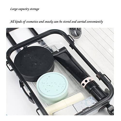 HBZGTLAD 10pcs false eyelashes packaging box pink luggage lashes suitcase mink lashes packing fluffy and curly case empty (B-mixed color)