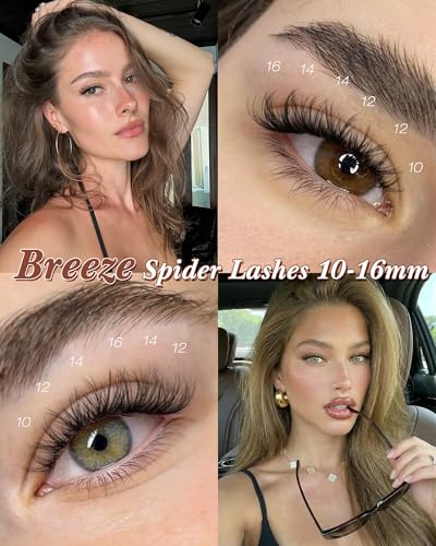 Zenotti D-Wispy Spider Lash Clusters 10-16mm Natural Eyelash Extensions