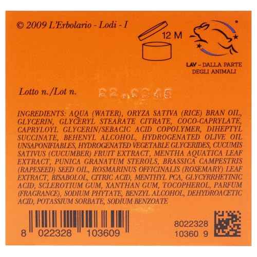 L'Erbolario Rinfresca Sole Refreshing After-Sun Cream - Light Texture - With Extracts Of Water Mint And Cucumber - Protective And Emollient Properties - Skin Is Left Nourished And Refreshed - 6.7 Oz