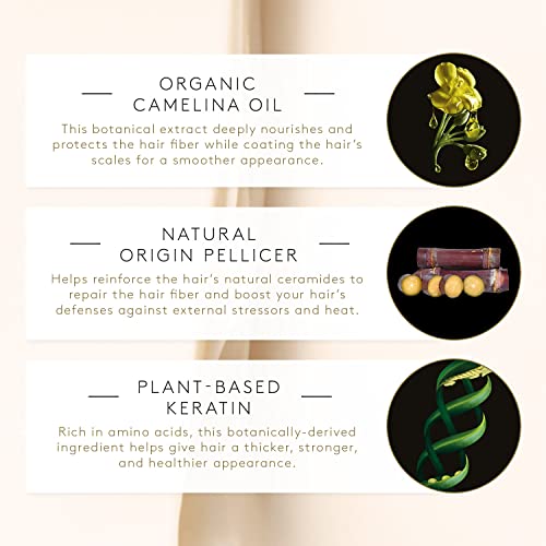 Rene Furterer ABSOLUE KERATINE Ultimate Regenerating Mask - For Damaged, Over-Processed Fine to Medium Hair - Repair & Restore