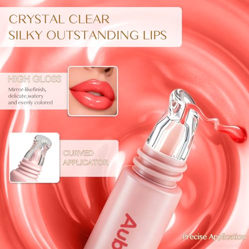 Aubelnmay Hydrating Lip Gloss Set - 4 Shades, Glass Finish Lip Jelly