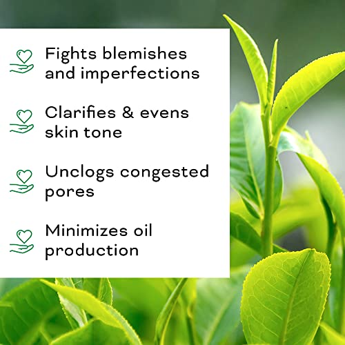 Clarifying Tea Tree Facial Oil, Targets Acne and Uneven Skin Tone, Antioxidant-Rich Beauty Oil, 1-fl oz/30ml (1 Pack)