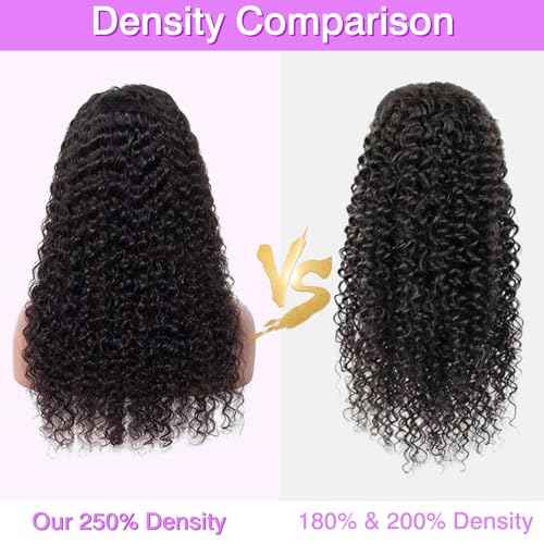 250% Density 13X6 30 Inch Deep Wave Lace Front Wigs Human Hair Curly Wig Wet and Wavy HD Lace Front Wig Pre Plucked 100% Real Human Hair No Synthetic Blend No Tangle No Shedding Triple Lifespan 3X